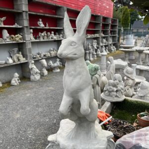 Standing hare