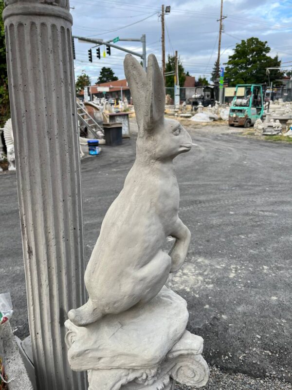 Standing hare back